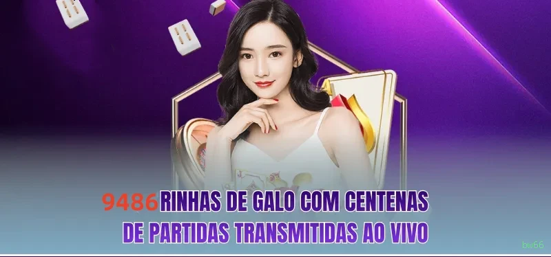 Login rápido no app bw66